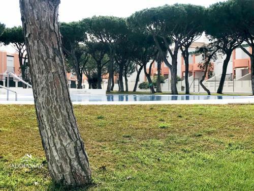 Apartamento Residencial Montemar La Barrosa