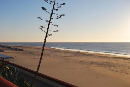 Hostal Avenida