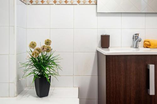 Apartamento Juan Carlos