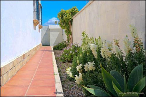 Chalet Chaparrillo