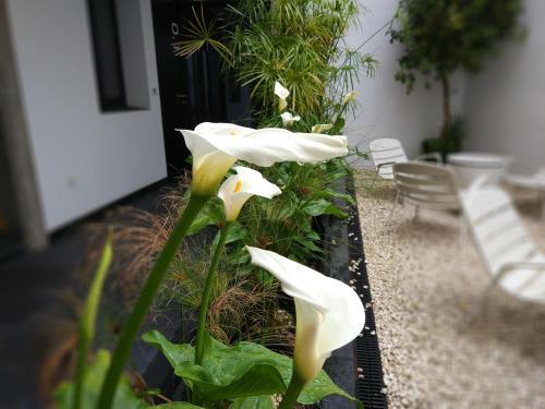 Apartamentos C�rdoba Atrium