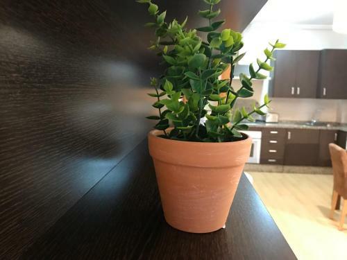 Apartamento Mi Goya