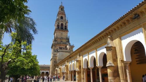 Apartamento San Pedro Cordoba Centro