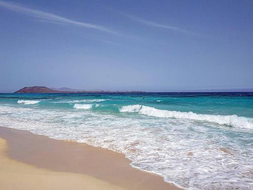 Case Fuerteventura