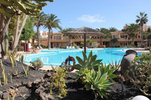 Apartamento Dunas Hibiscus