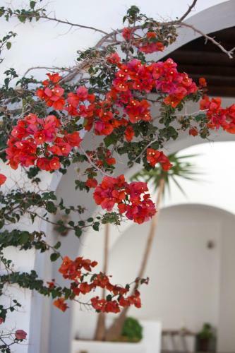 Hotel Elisso's Philoxenia