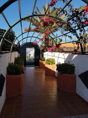 Apartment Calle Hercules