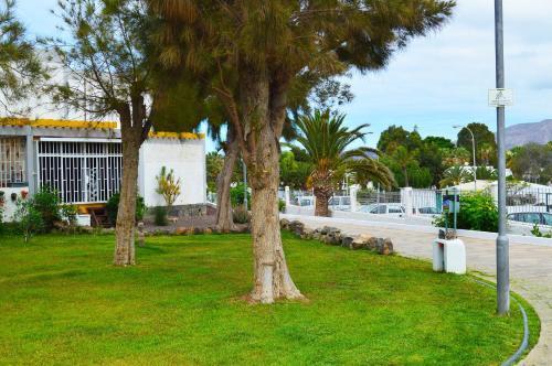 Apartment Paseo Cronos