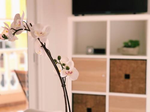 Apartamento Costa Sol