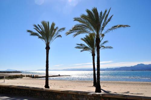 Apartamento Palm Tree Cullera