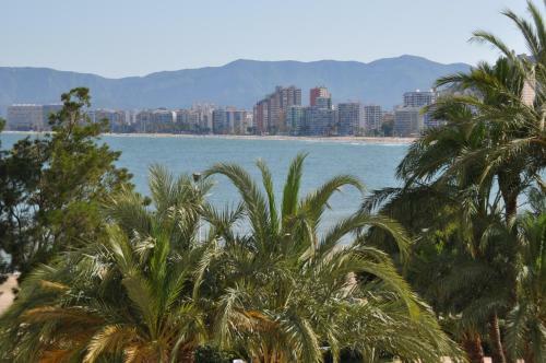 Apartamento Palm Tree Cullera