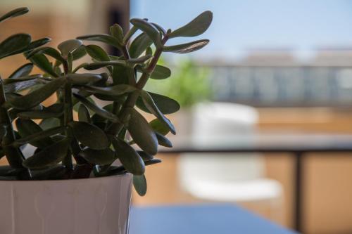 Apartamento Punta Negra Penthouse Cullera 4p
