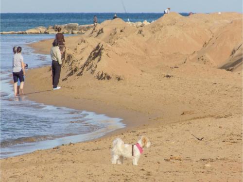 Studio Apartment In Denia