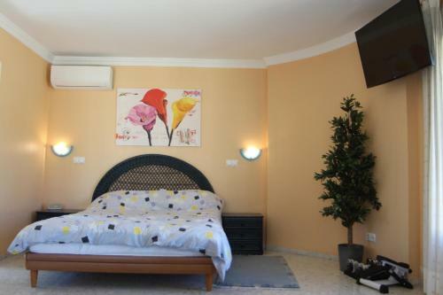 T-0214 Villa Verano
