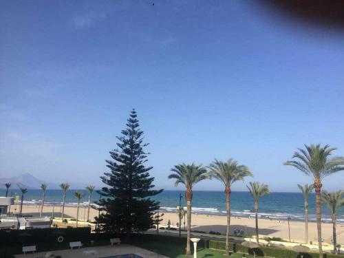 Apartamento Planta Baja Playa San Juan