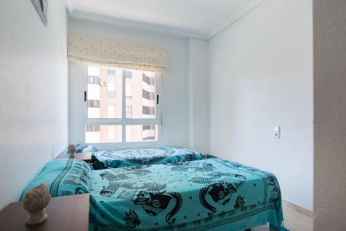 Apartment El Drac