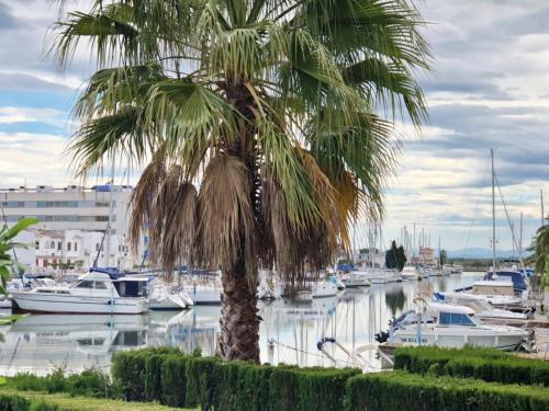 Apartamento Vacances Location 2 Pto. Madeira