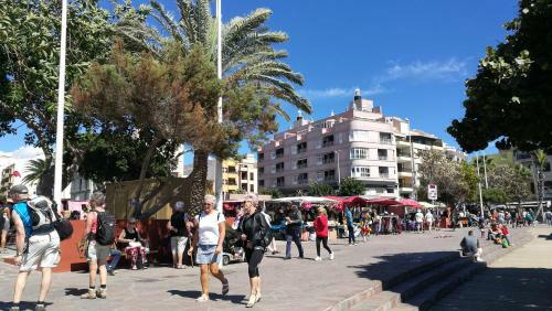 Apartamento M�dano Penthouse