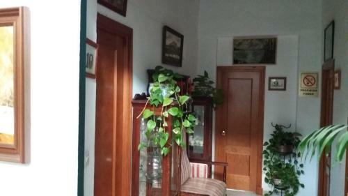 Hostal Manolo