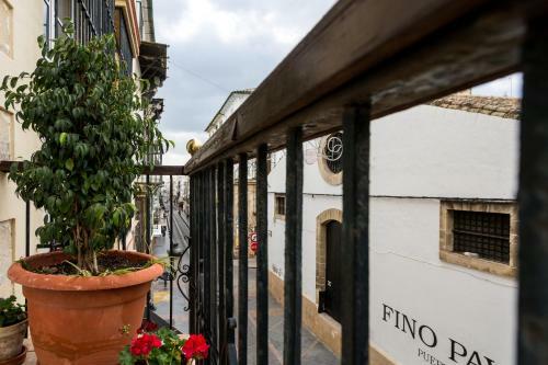 Apartamento Rincones Con Luz Casa Palacios