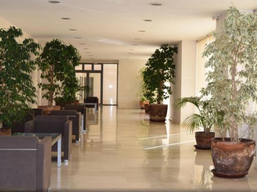 Apartamento Estudios Lares Santa Maria