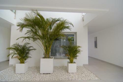 Belaire 4 Bedroom Apartment