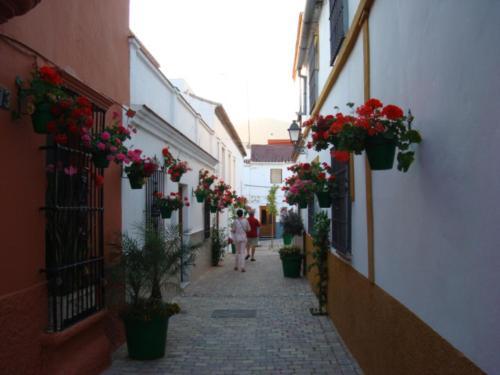 Apartamento Valle Romano 2238