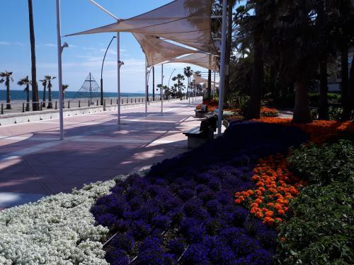Apartamento Valle Romano 2245