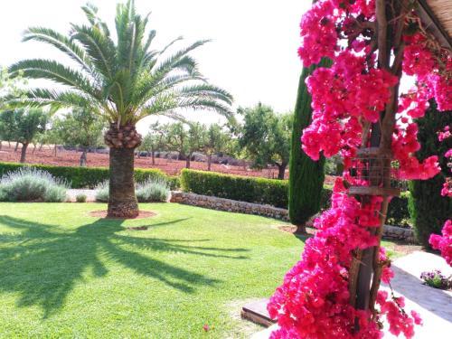 Agroturismo Son Capellot