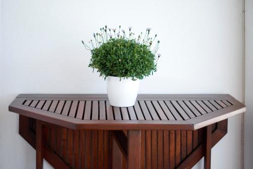 Apartamento Fornells