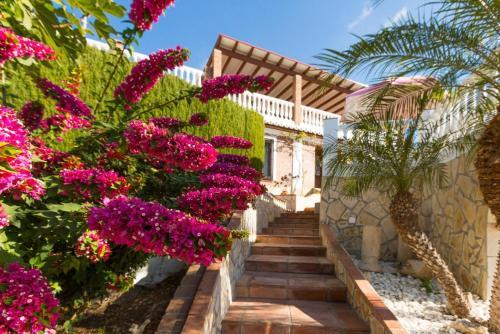 Villa Casa Alberto