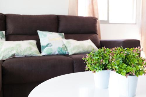 Apartamento Parque Mar Playa Gandia