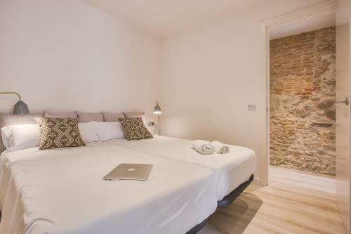 Apartamento Flateli -pla�a Catalunya 3-2