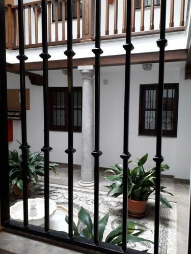 Apartamento Orione