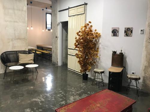 Eco Hostel