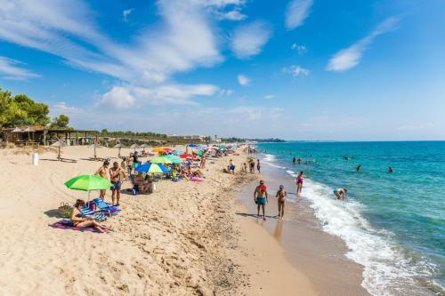 Pino Alto Holiday Homes Bosque21