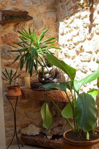 Hotel Agroturismo Can Gall