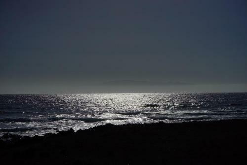 Drago Leaves Apartments