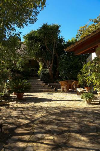 Oasis