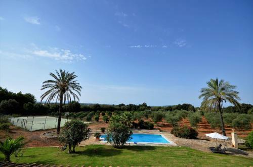 Finca Morey
