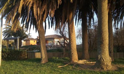 Apartamento Alcarav�n Playa