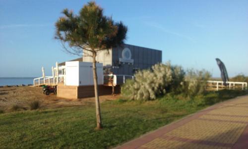 Apartamento Alcarav�n Playa