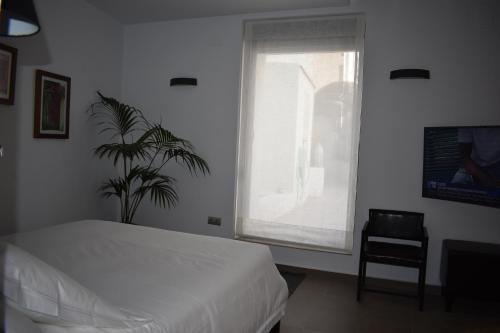 Home Apartments Jerez