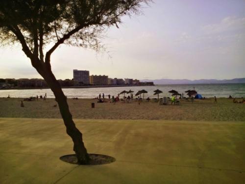 Apartamento D�plex El Port