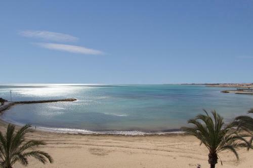 Homely Apartaments La Mata Centro