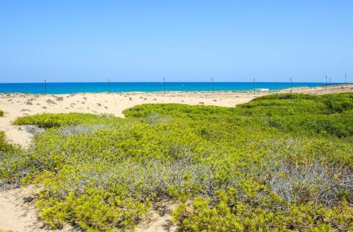 Torrelamata Apartment Sleeps 5 Pool Air Con Wifi