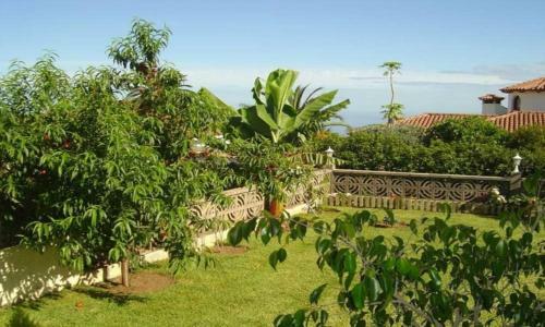 104851 - House In La Orotava