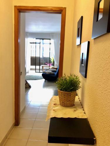 City Apartment