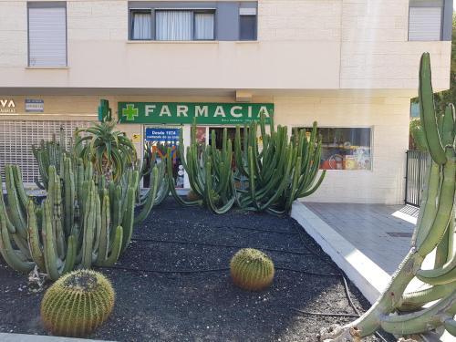 Apartamento Behosty La Minilla