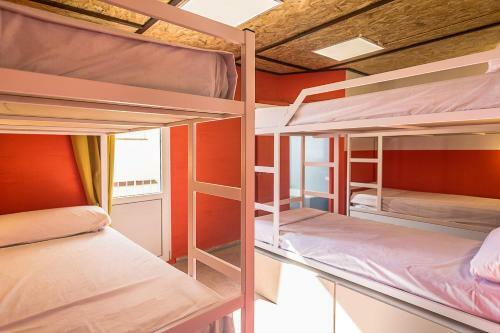 Albergue Loft Hostal